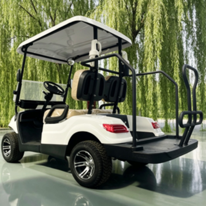 China Electric Golf Cart Lithi - Golf Bag Stand Cart 评论和价格