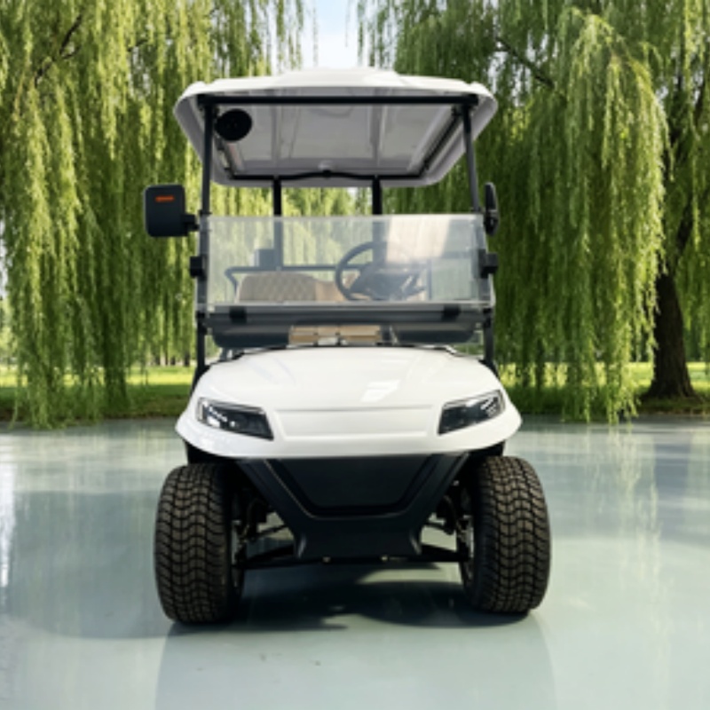 China Electric Golf Cart Lithi - Golf Bag Stand Cart 评论和价格