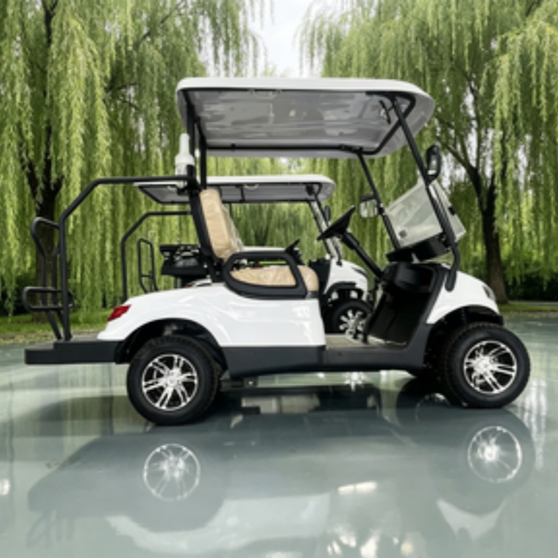 China Electric Golf Cart Lithi - Golf Bag Stand Cart 评论和价格