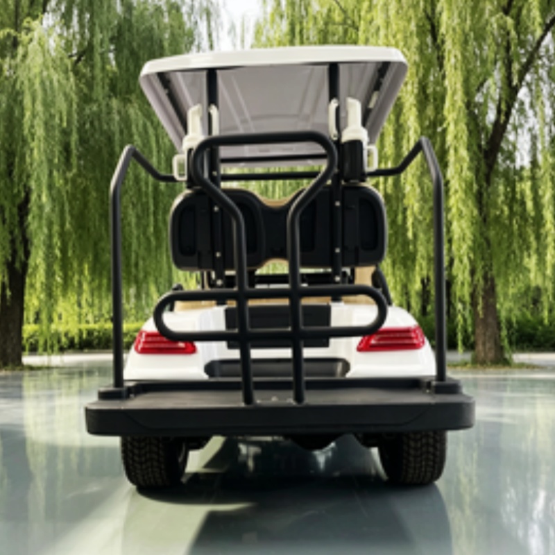 China Electric Golf Cart Lithi - Golf Bag Stand Cart 评论和价格