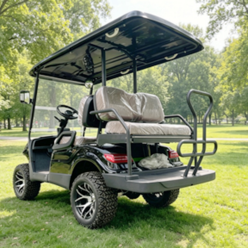 Golf Cart 2 Seater Electric Go - Golf Bag Stand Cart 评论和价格
