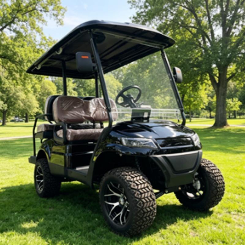 Golf Cart 2 Seater Electric Go - Golf Bag Stand Cart 评论和价格