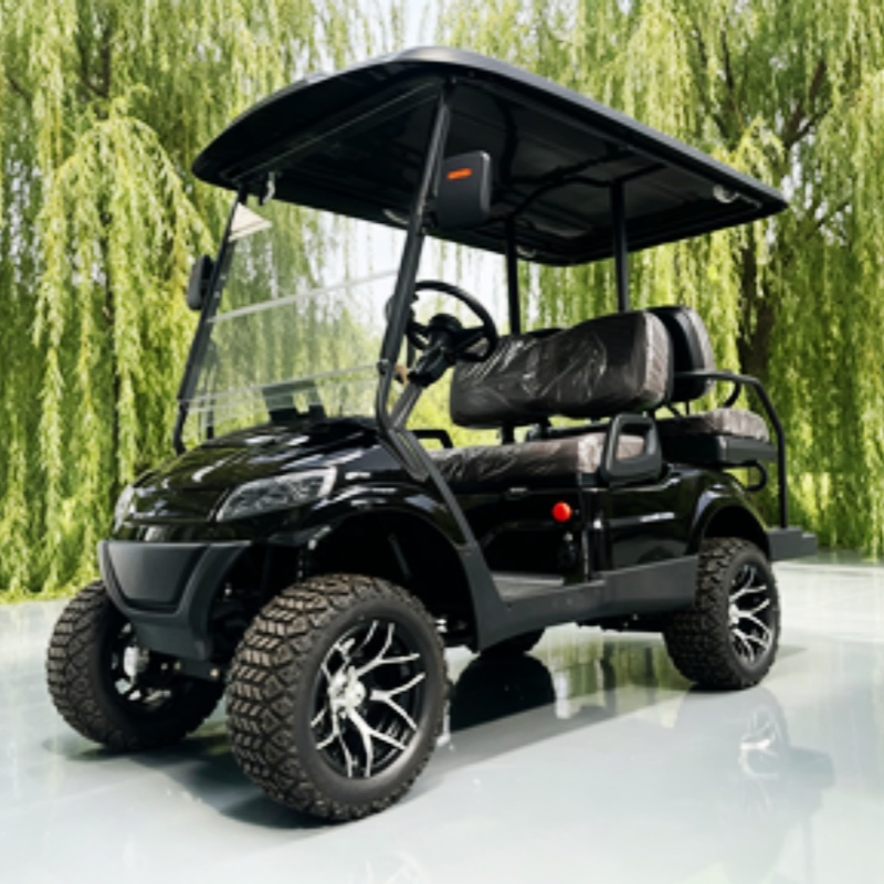Lithium Battery Club 2 Seater  - Golf Bag Stand Cart 评论和价格