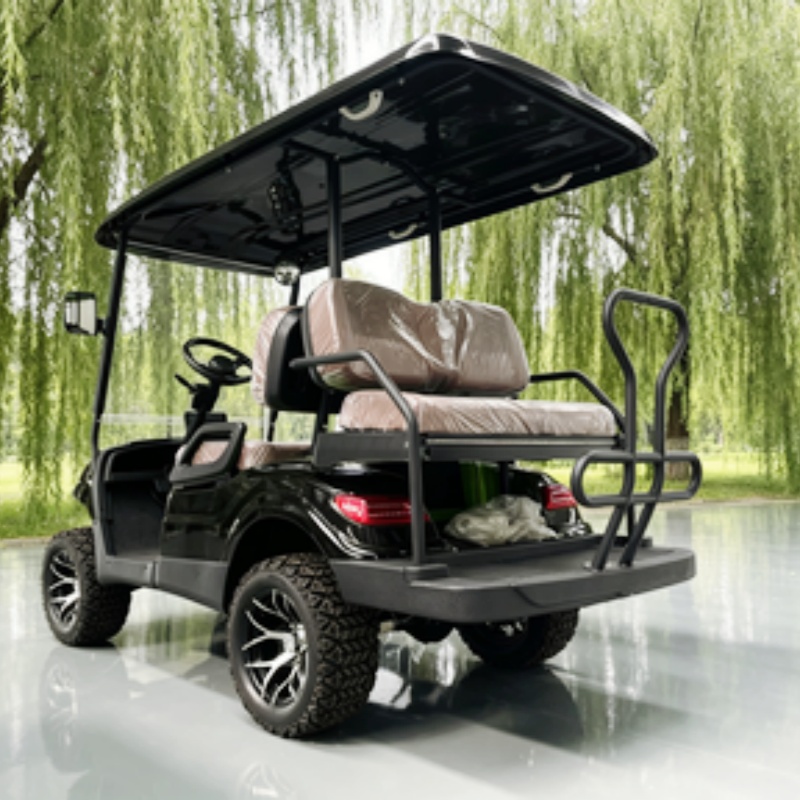 Lithium Battery Club 2 Seater  - Golf Bag Stand Cart 评论和价格