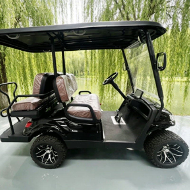 Lithium Battery Club 2 Seater  - Golf Bag Stand Cart 评论和价格
