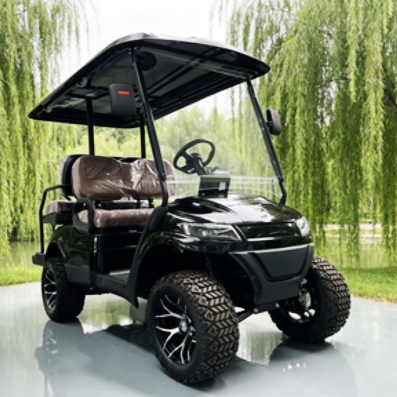 Lithium Battery Club 2 Seater  - Golf Bag Stand Cart 评论和价格