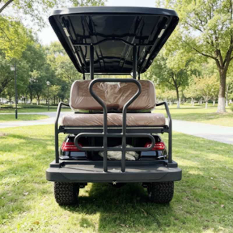 Street Legal Golf Cart Buggy S - Golf Bag Stand Cart 评论和价格